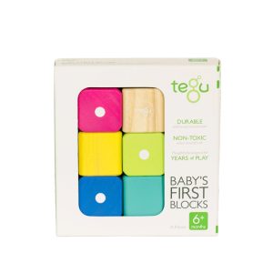 Baby's First Blocks 6 piece